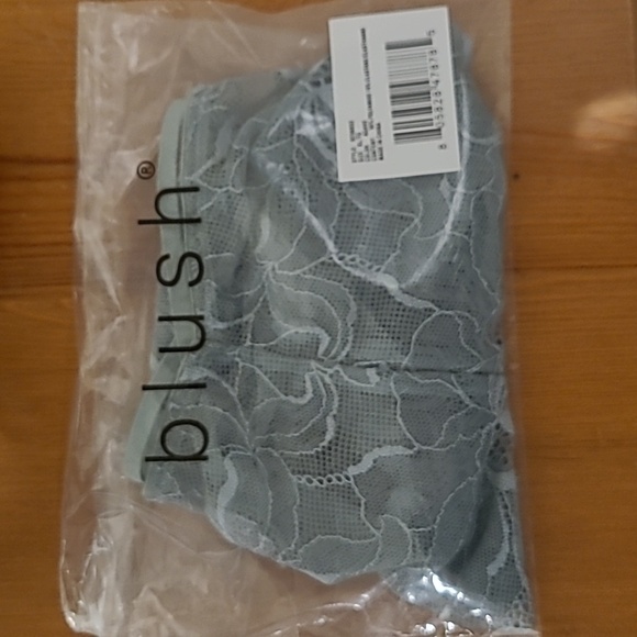 NWOT - Blush Agave Lace Panty - Picture 6 of 6
